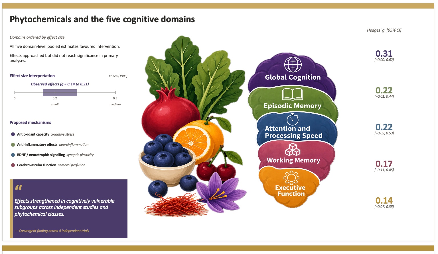Phytochemicals and the five cognitive domains: effect sizes by domain from the systematic review, AAIC 2026 poster