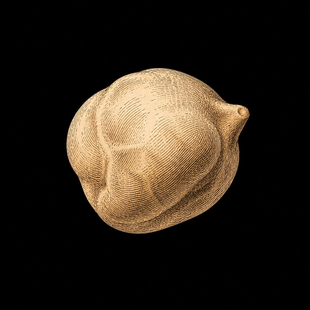 Chickpea